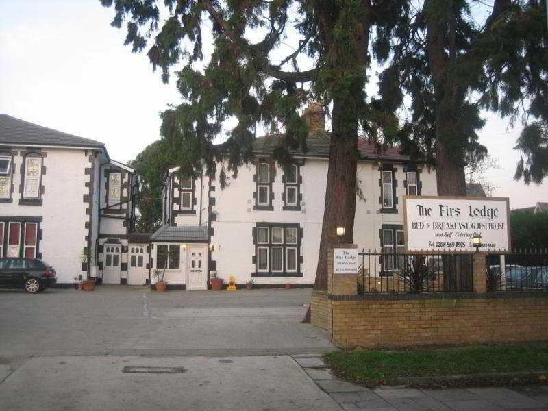 Firs - Hsd London
